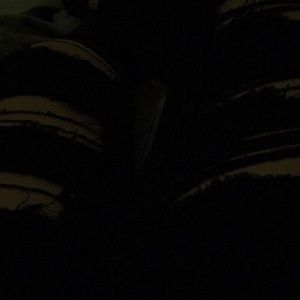 Meet your Posher, Catarina